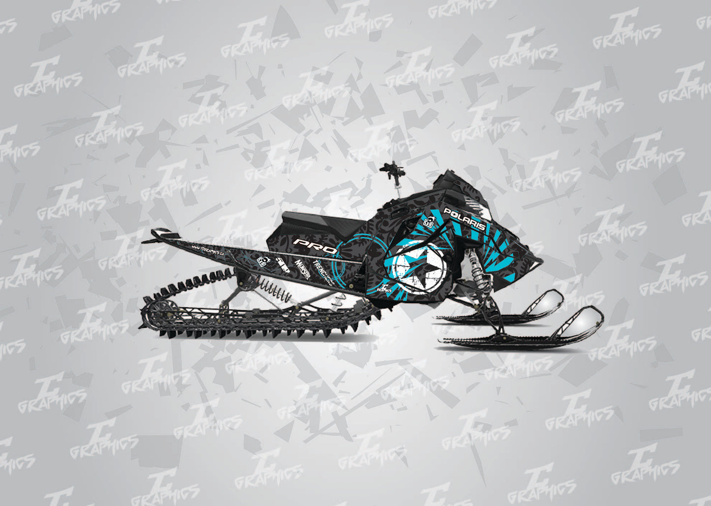 Polaris - Paisley